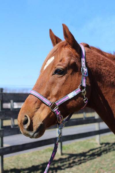 TuffRider Nylon Breakaway Halter & Lead Set - Breeches.com