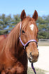 TuffRider Nylon Breakaway Halter & Lead Set - Breeches.com