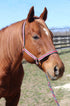 TuffRider Nylon Breakaway Halter & Lead Set - Breeches.com