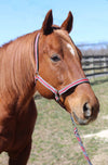 TuffRider Nylon Breakaway Halter & Lead Set - Breeches.com