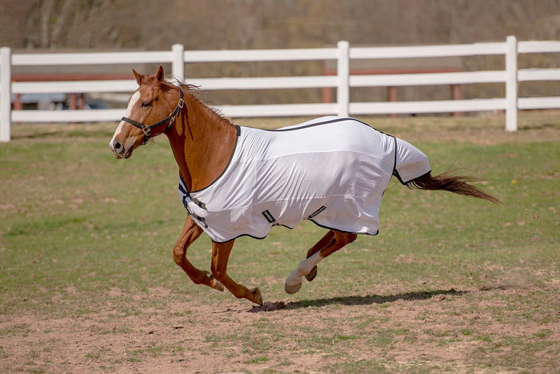 TuffRider Sport CoolMax/Mesh Blend Standard Neck Fly Sheet - Breeches.com