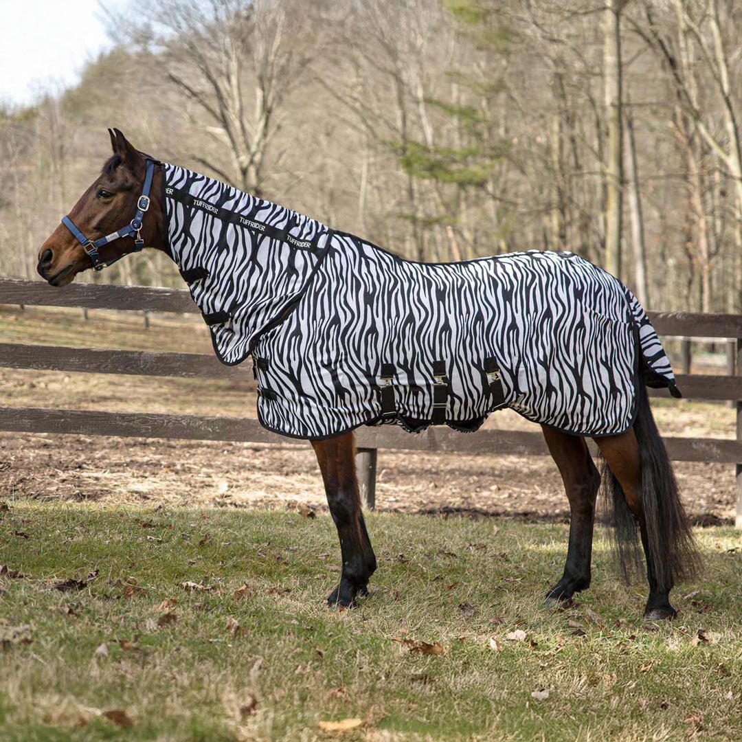 Horse Turnout Sheets
