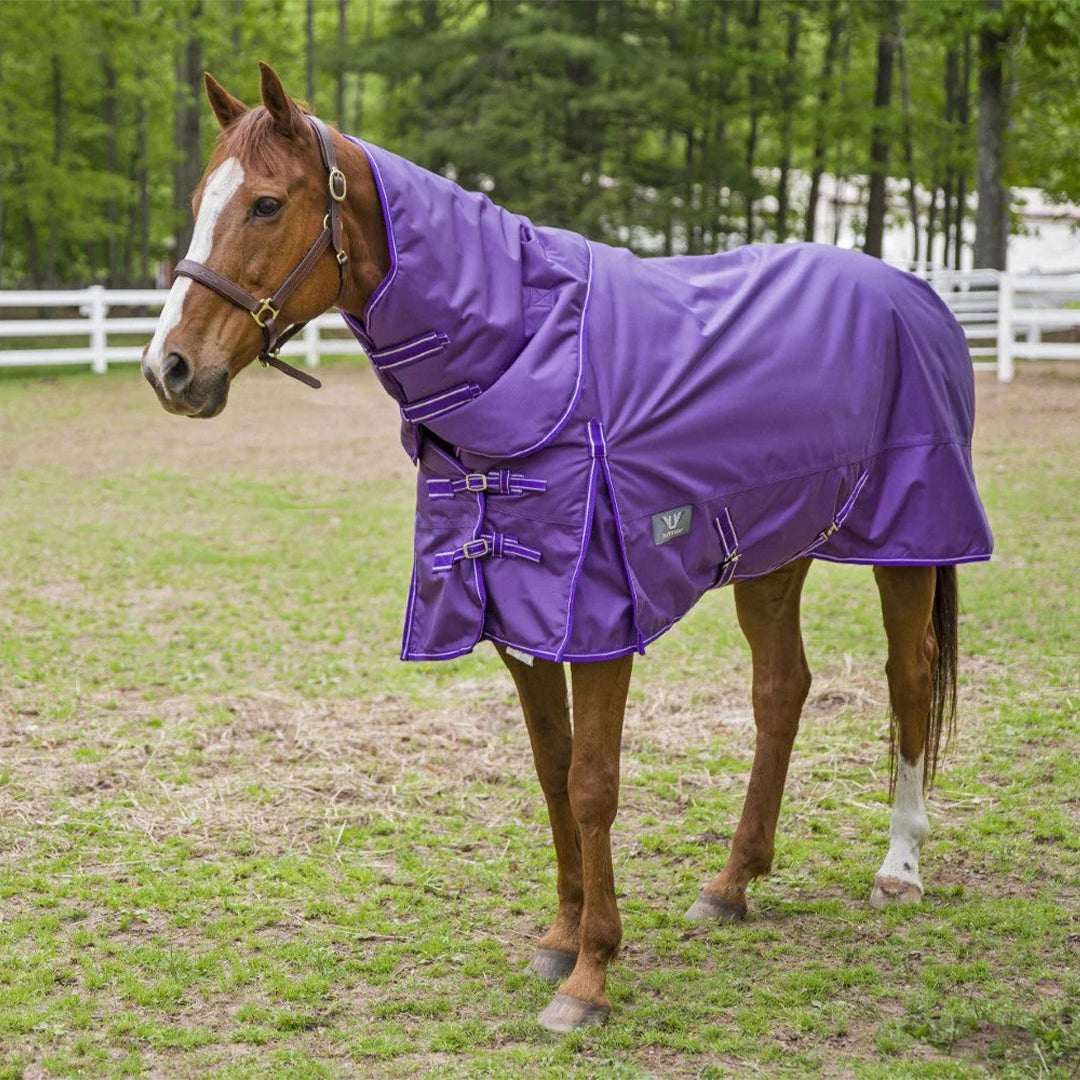 TuffRider 1680 D Super Comfy Heavy Weight 350 gms Detachable Neck Blanket - Breeches.com