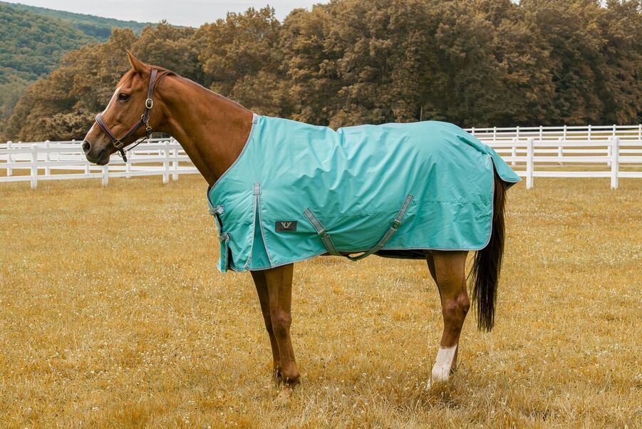 Tuffrider 600 D Comfy Winter Blanket_1