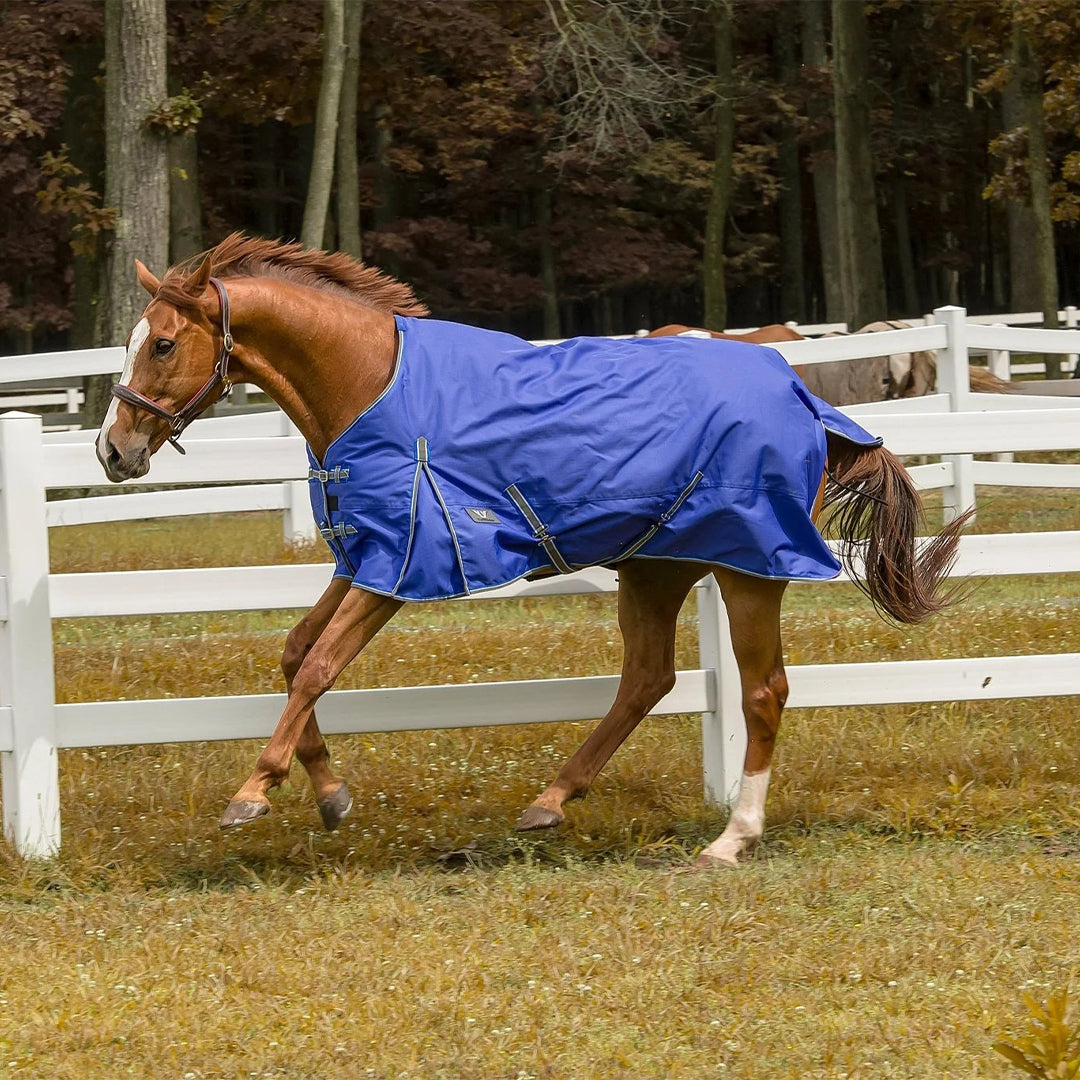 Tuffrider 600 D Comfy Winter Blanket_9