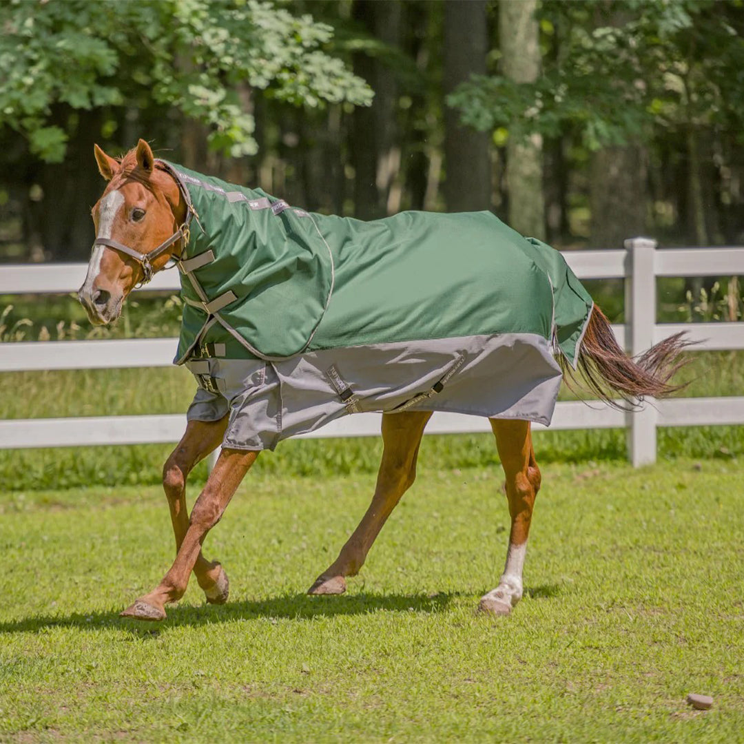 TuffRider Bonum 1200D Medium Weight Detachable Neck Two Tone Turnout Blanket w/ 200gms of fill - Breeches.com