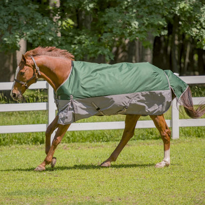 TuffRider Bonum 1200D Medium Weight Standard Neck Two Tone Turnout Blanket w/ 200gms of fill - Breeches.com