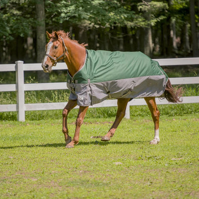 TuffRider Bonum 1200D Medium Weight Standard Neck Two Tone Turnout Blanket w/ 200gms of fill - Breeches.com