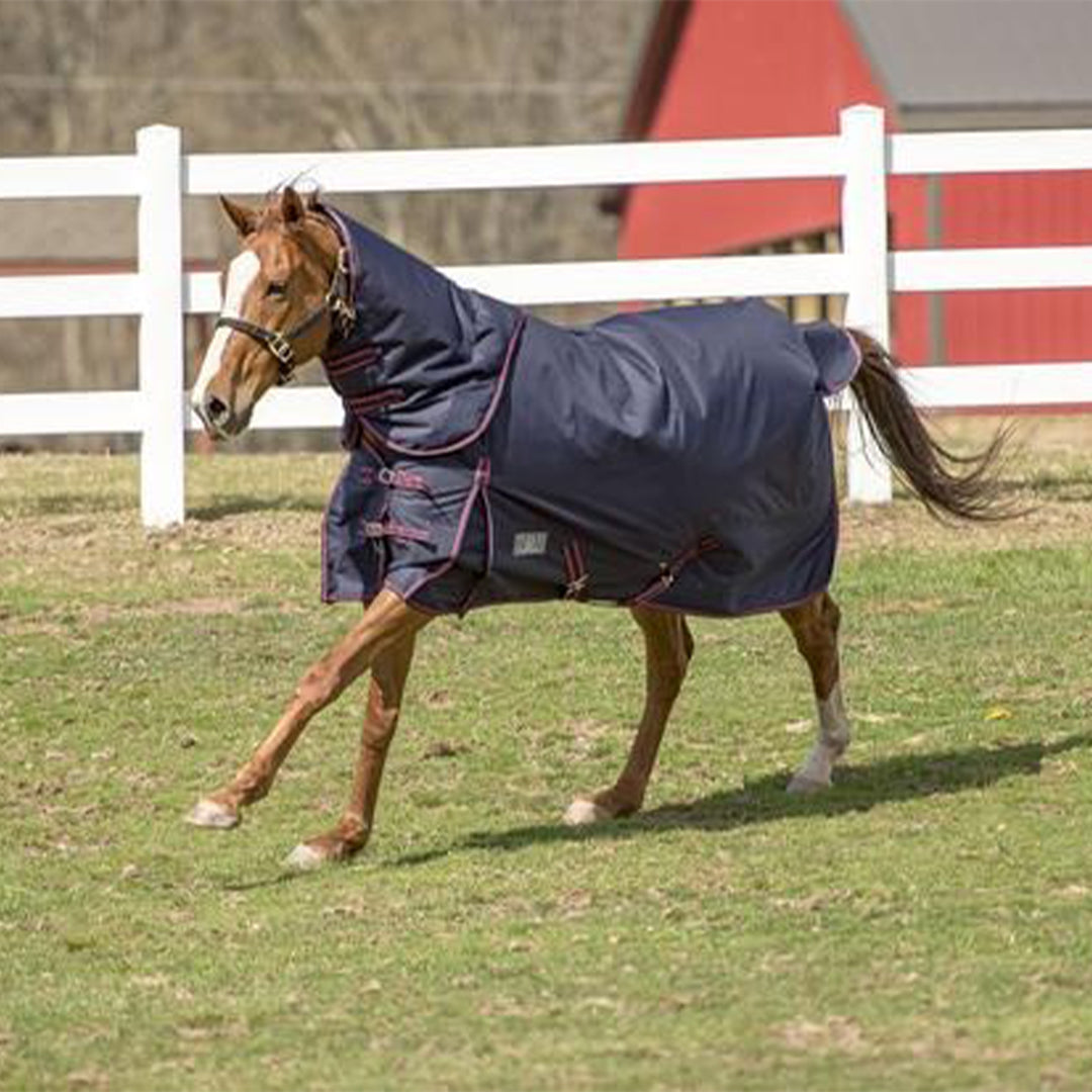 Tuffrider Comfy Heavy Weight Detachable Neck Winter Blanket w/ 350 gms of Fill
