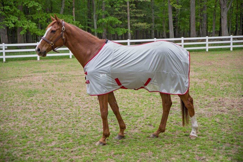 TuffRider Comfy MESH Fly Sheet Limited Edition - Breeches.com