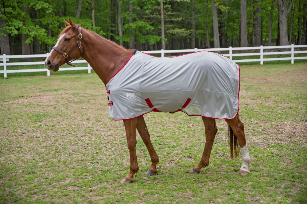 TuffRider Comfy MESH Fly Sheet Limited Edition - Breeches.com