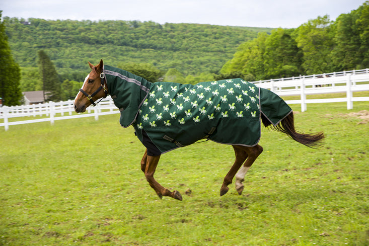 Tuffrider 1200D Ripstop 220 Gms Polyfill Horse Print Combo Neck Two Tone Pony Turnout Blanket - Breeches.com
