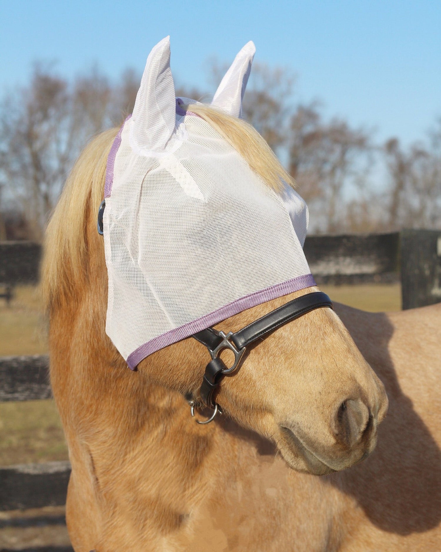 TuffRider Fly Masks with Ears - Breeches.com
