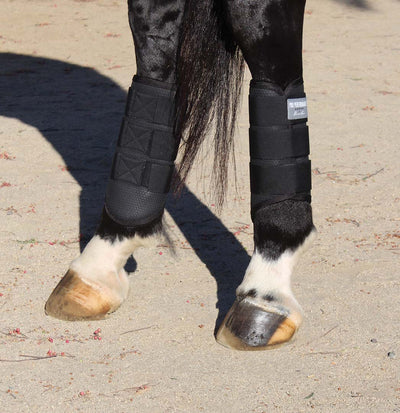 Pro Performance by Professional's Choice Pro Mesh Xc G1 Rear - Breeches.com