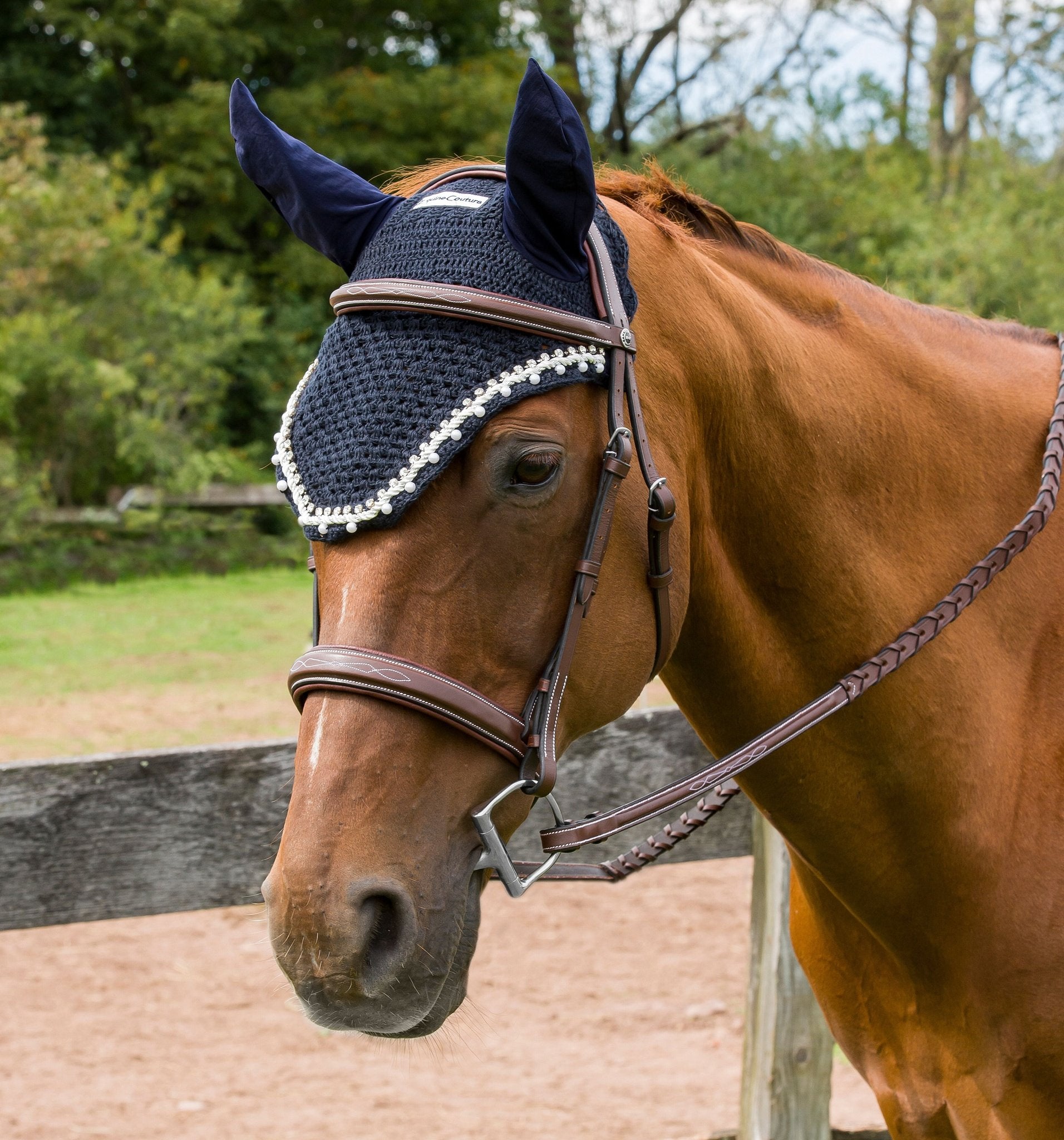 Equine Couture Fly Bonnet with Pearls and Crystals - Breeches.com