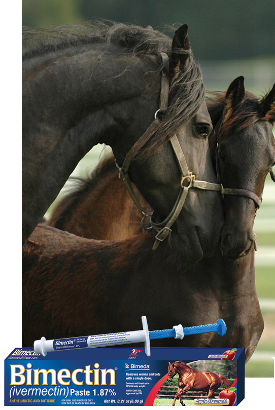 Bimectin Ivermectin Paste Horse Dewormer 6.08 gm