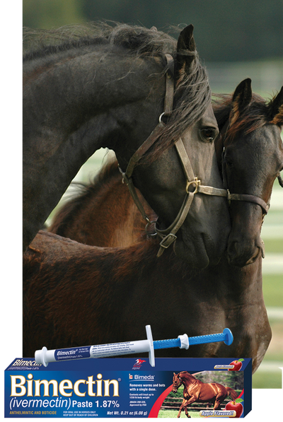 Bimectin Ivermectin Paste Horse Dewormer- 6.08 gm - Breeches.com