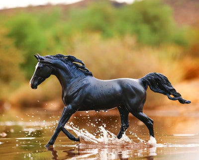 Breyer KB Omega Fahim - Breeches.com