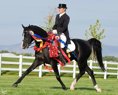Breyer KB Omega Fahim - Breeches.com