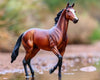 Breyer Tiz the Law - Breeches.com