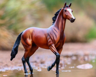 Breyer Tiz the Law - Breeches.com
