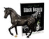 Breyer Black Beauty Horse & Book Set - Breeches.com