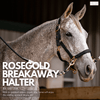 Lettia Rosegold Padded Leather Breakaway Halter - Breeches.com