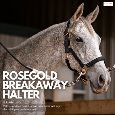 Lettia Rosegold Padded Leather Breakaway Halter - Breeches.com