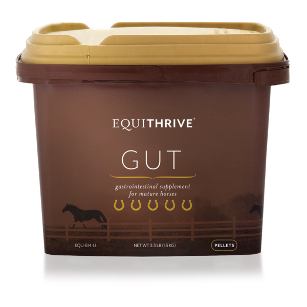 Equithrive Gut Pellets - 3.3 LB - Breeches.com
