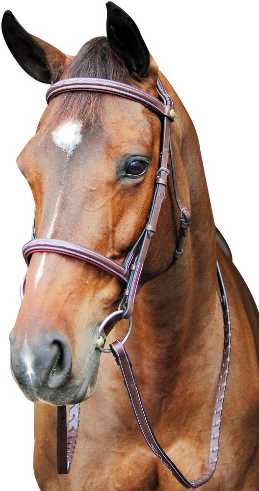 Henri de Rivel Pro Fancy Raised Comfort Crown Padded Bridle With Fancy Raised Reins - Breeches.com