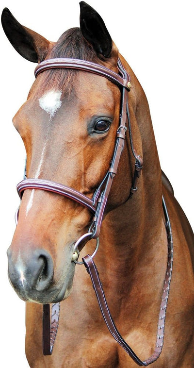 Henri de Rivel Pro Fancy Raised Comfort Crown Padded Bridle With Fancy Raised Reins - Breeches.com