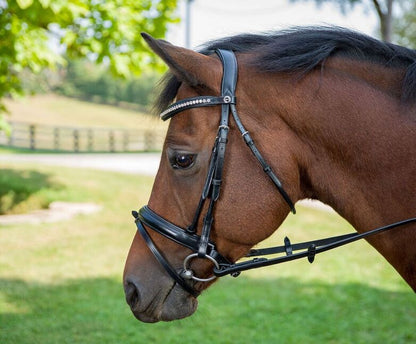 Henri de Rivel Diamonte Dressage Bridle - Breeches.com