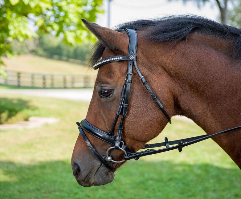 Henri de Rivel Diamonte Dressage Bridle - Breeches.com
