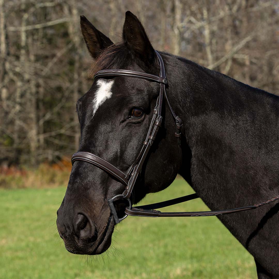 Henri de Rivel Pro Mono Crown Bridle with Padded Wide Noseband  with Laced Reins - Breeches.com