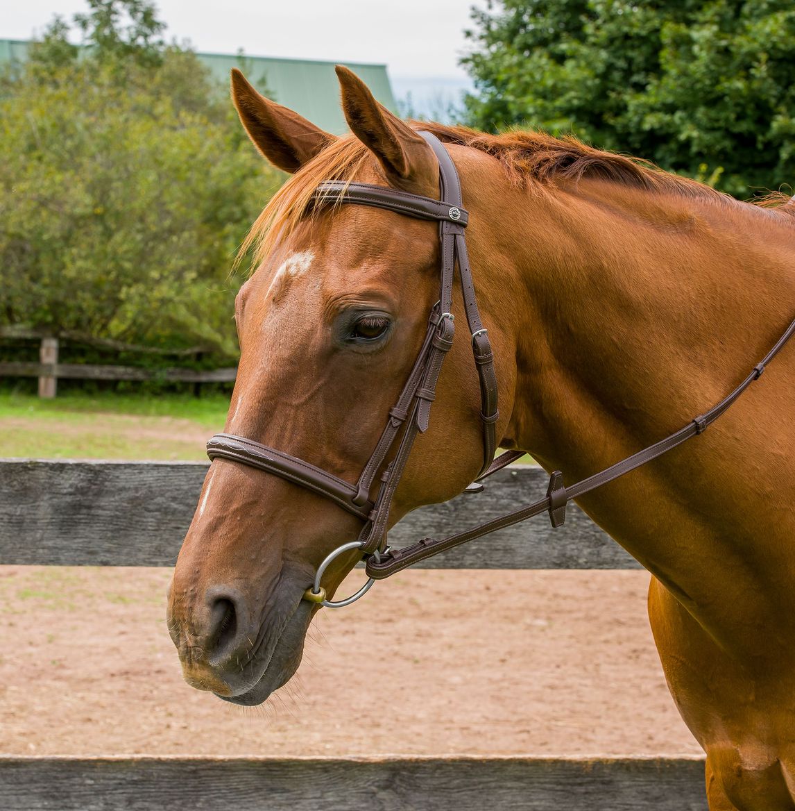 Henri de Rivel Kushy Raised Fancy Stitched Bridle - Breeches.com