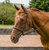 Henri de Rivel Kushy Raised Fancy Stitched Bridle - Breeches.com