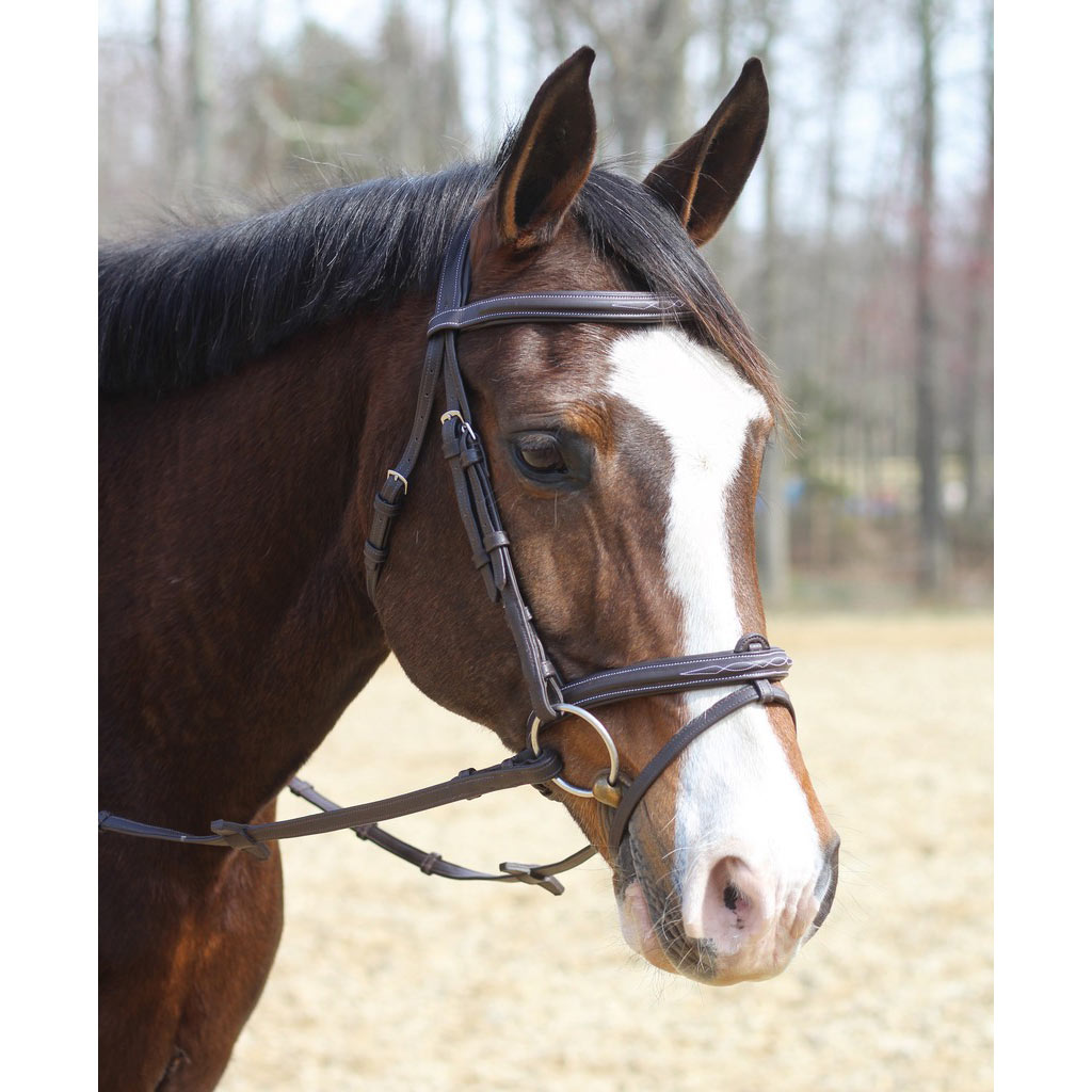 Henri de Rivel Kushy Bridle with Detachable Flash _1