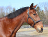 Henri de Rivel Kushy Halter - Breeches.com