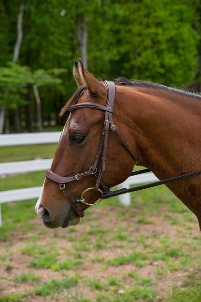 Henri de Rivel Pro Anatomical Bridle - Breeches.com