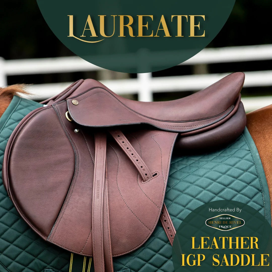 Henri de Rivel Laureate IGP Saddle - Breeches.com