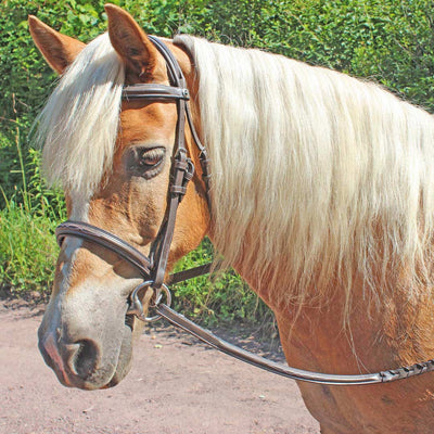 Henri de Rivel Pro Fancy Raised Comfort Crown Padded Bridle With Fancy Raised Reins - Breeches.com