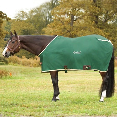 Big D Nylon Stable Sheet w/ Open Front - Breeches.com