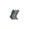 Imperial Riding Multipack show socks IRHOlania