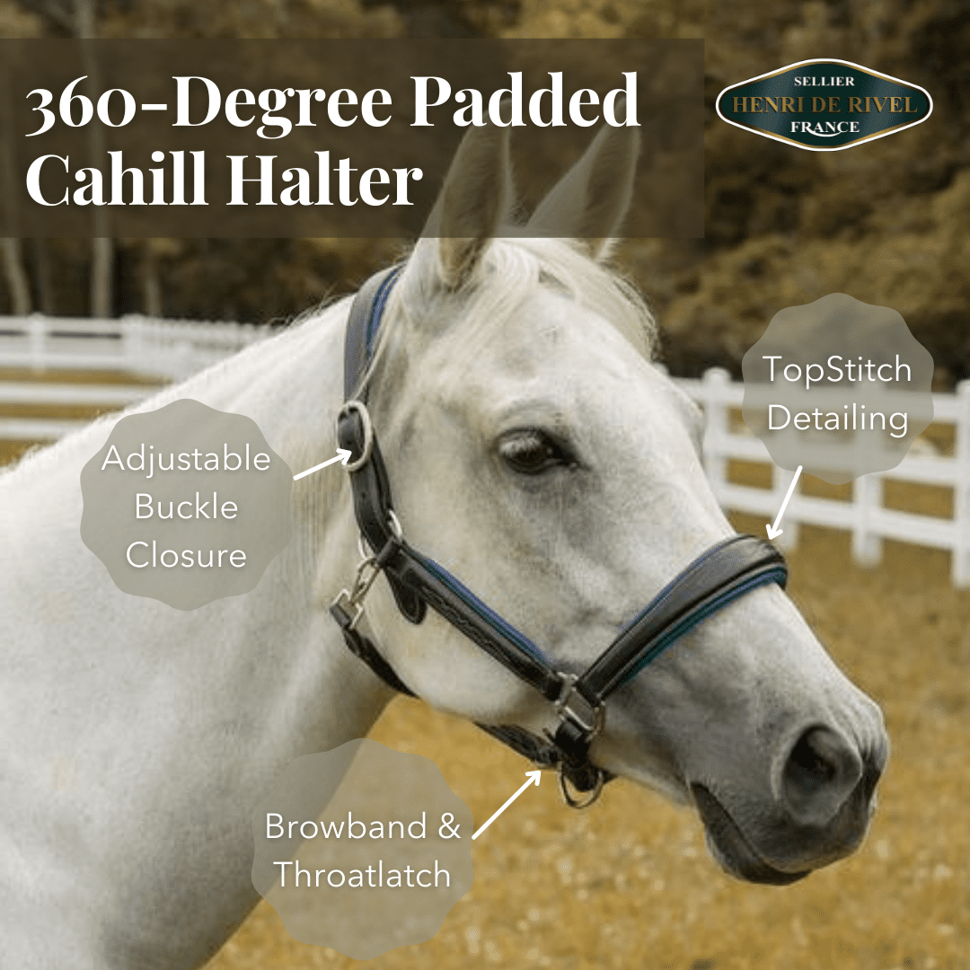 Henri De Rivel 360-Degree Padded Cahill Halter - Breeches.com