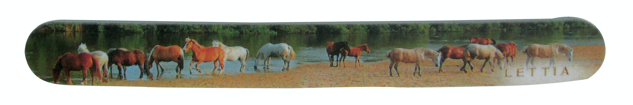 Lettia Horses By The River Nail File