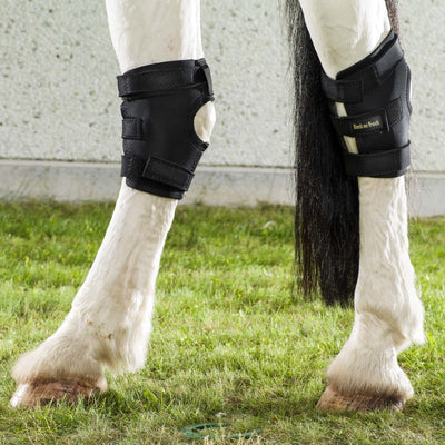 Back on Track Therapeutic Hock Boot w/ Hole- Black- Right - Breeches.com