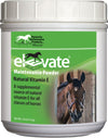 Elevate Maintenance Powder_16