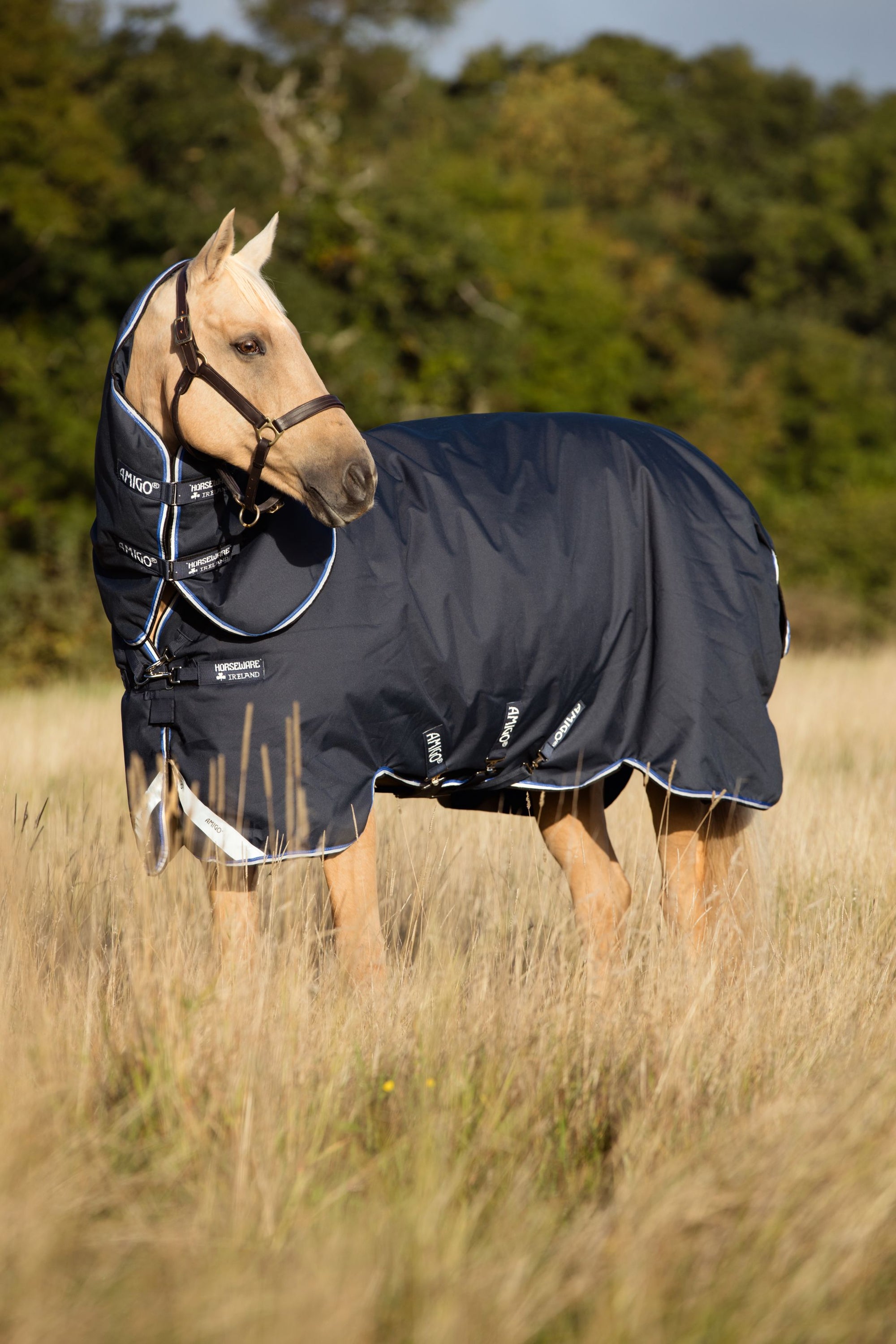 Horseware Ireland Amigo® Bravo 12 Plus (0g Lite) - Breeches.com