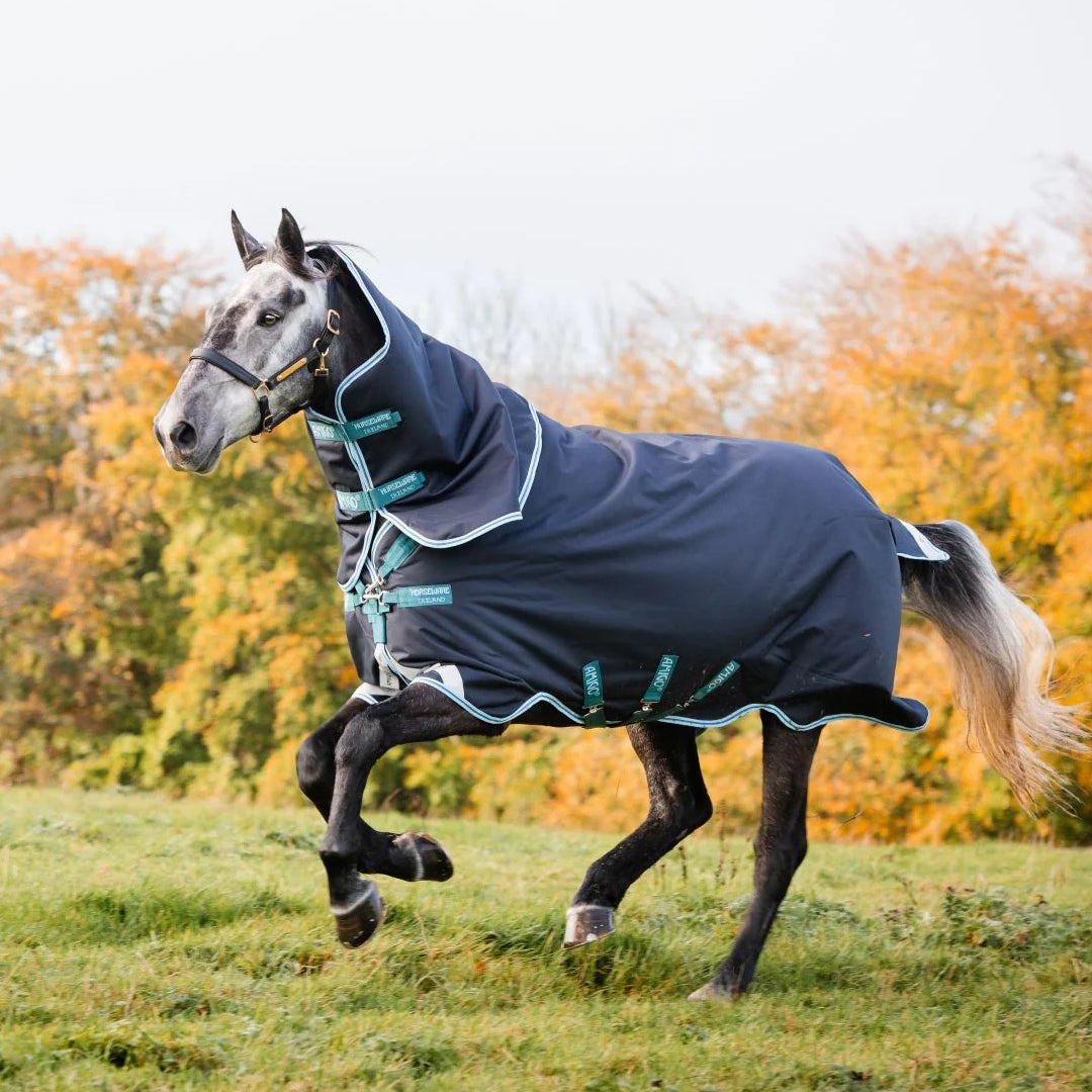 Horseware Ireland AmigoÂ® Bravo 12 Plus Turnout (250g Medium) - Breeches.com