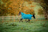 Horseware Ireland AmigoÂ® Bravo 12 Plus (400g Heavy) - Breeches.com
